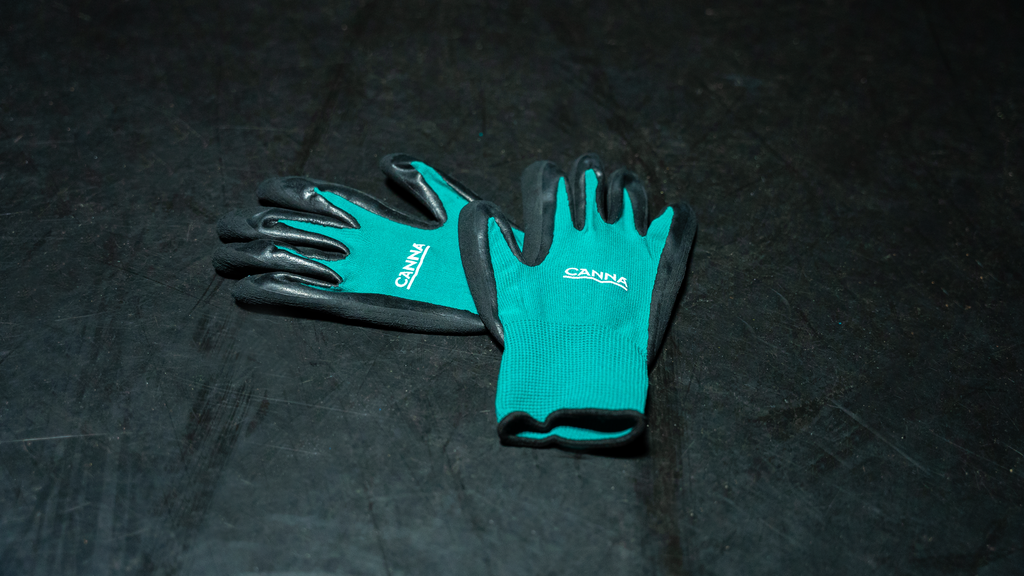 CANNA Gloves