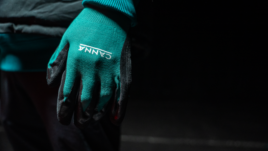 CANNA Gloves 02